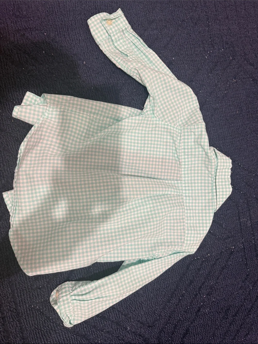 Ralph Lauren Mint Green and White Gingham Button-Up Shirt